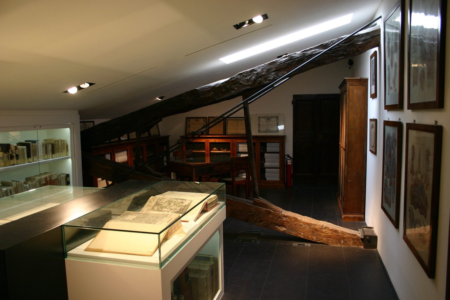 Sala 'Paolo Mascagni', Accademia dei Fisiocritici, Siena, Italy - 09.JPG